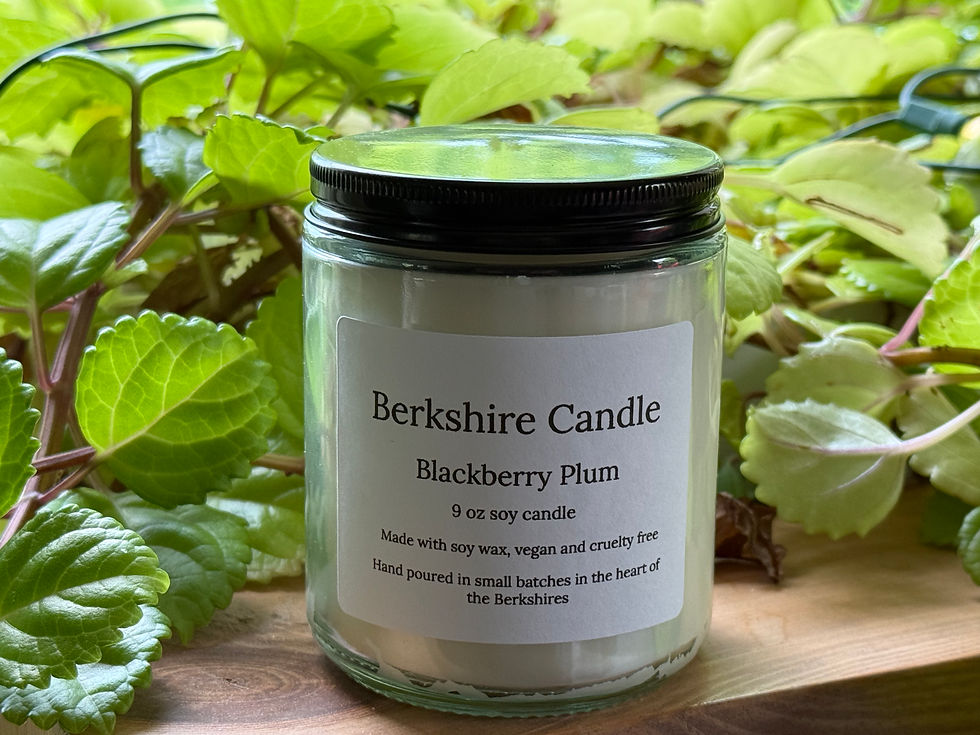 Thumbnail: Blackberry Plum