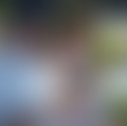 100th House Weekend in Hamden