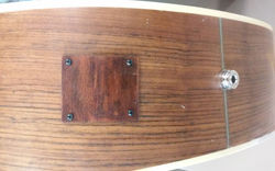 Acoustic repair plate