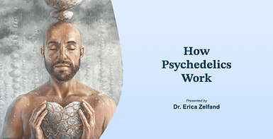 How Psychedelics Work