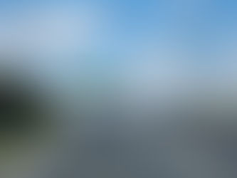 Black Taxi driver dies in horror crash after a vehicle drove the wrong way along the A13