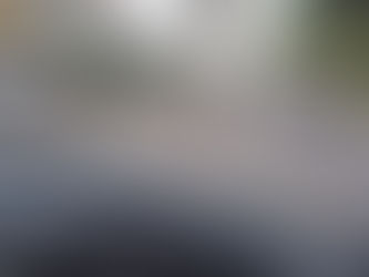 Police slam "professional driver" for travelling from London to Southend with cracked windscreen