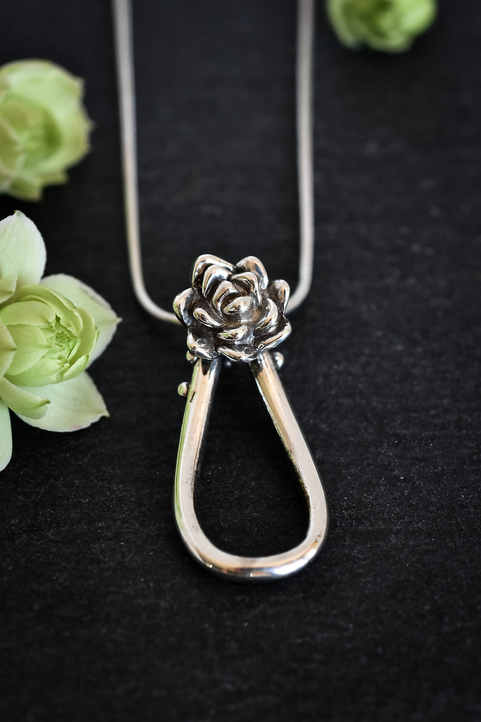 Thumbnail: Succulent Propagation Pendant // One of a Kind
