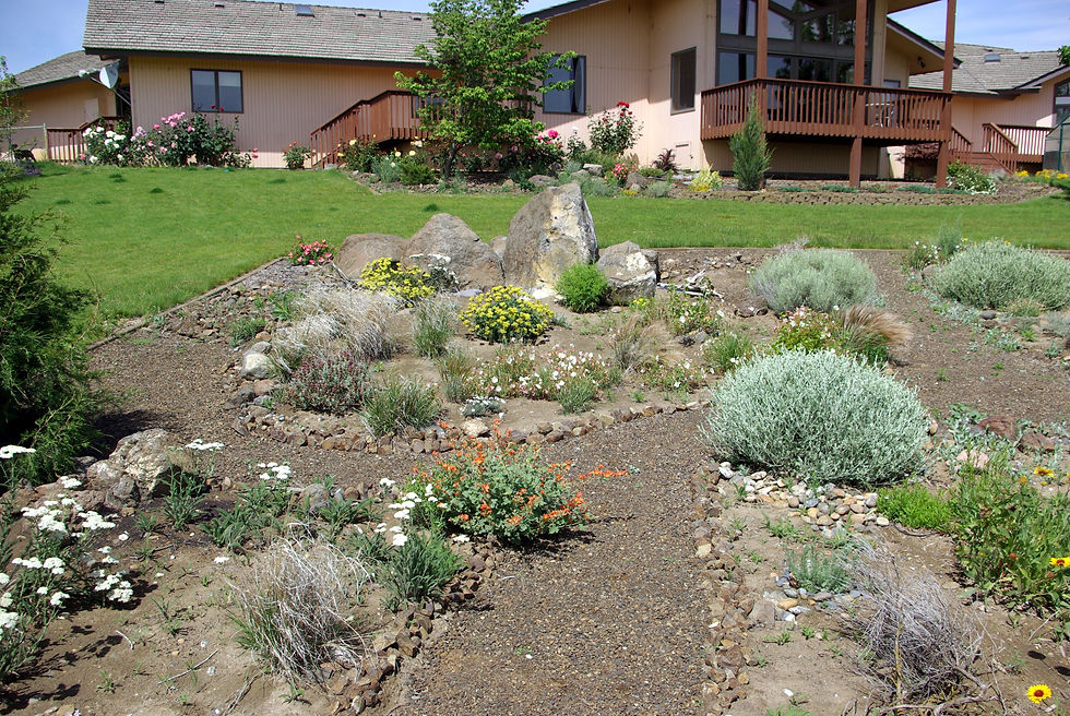 10GARDENSSPRING 126-1