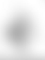 The Things We are Made Of