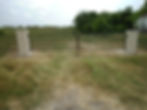 SANY0347.JPG