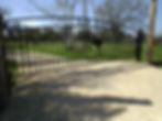 SANY0334.JPG