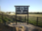 SANY0204.JPG