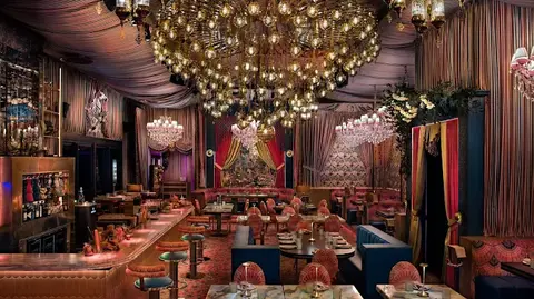 Habibi Miami