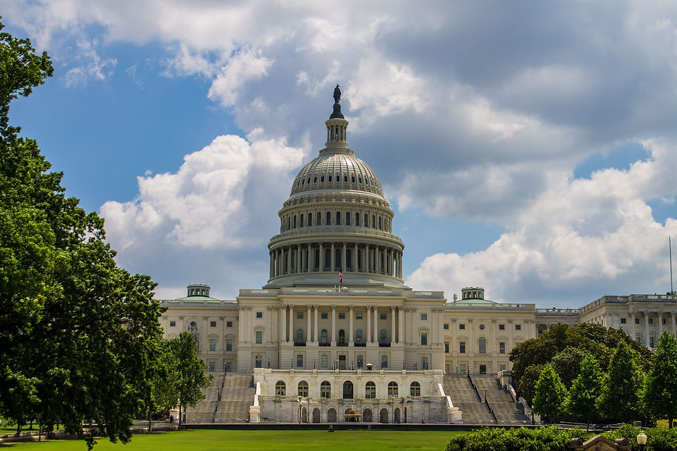 Government spending influences economic activity through public investment and essential services.