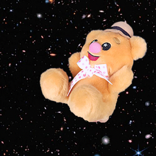 Trivia bear floating through space