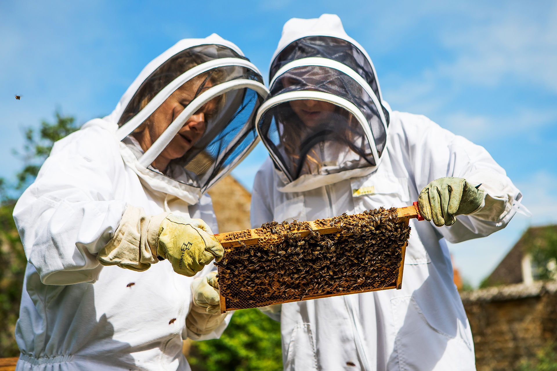 Burt's Bees - Bring Back The Bees