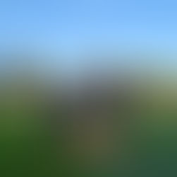 Österreichische Meisterschaften U20 & U16 in Gisingen