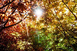 About EarthMix | EarthMix Garden Products