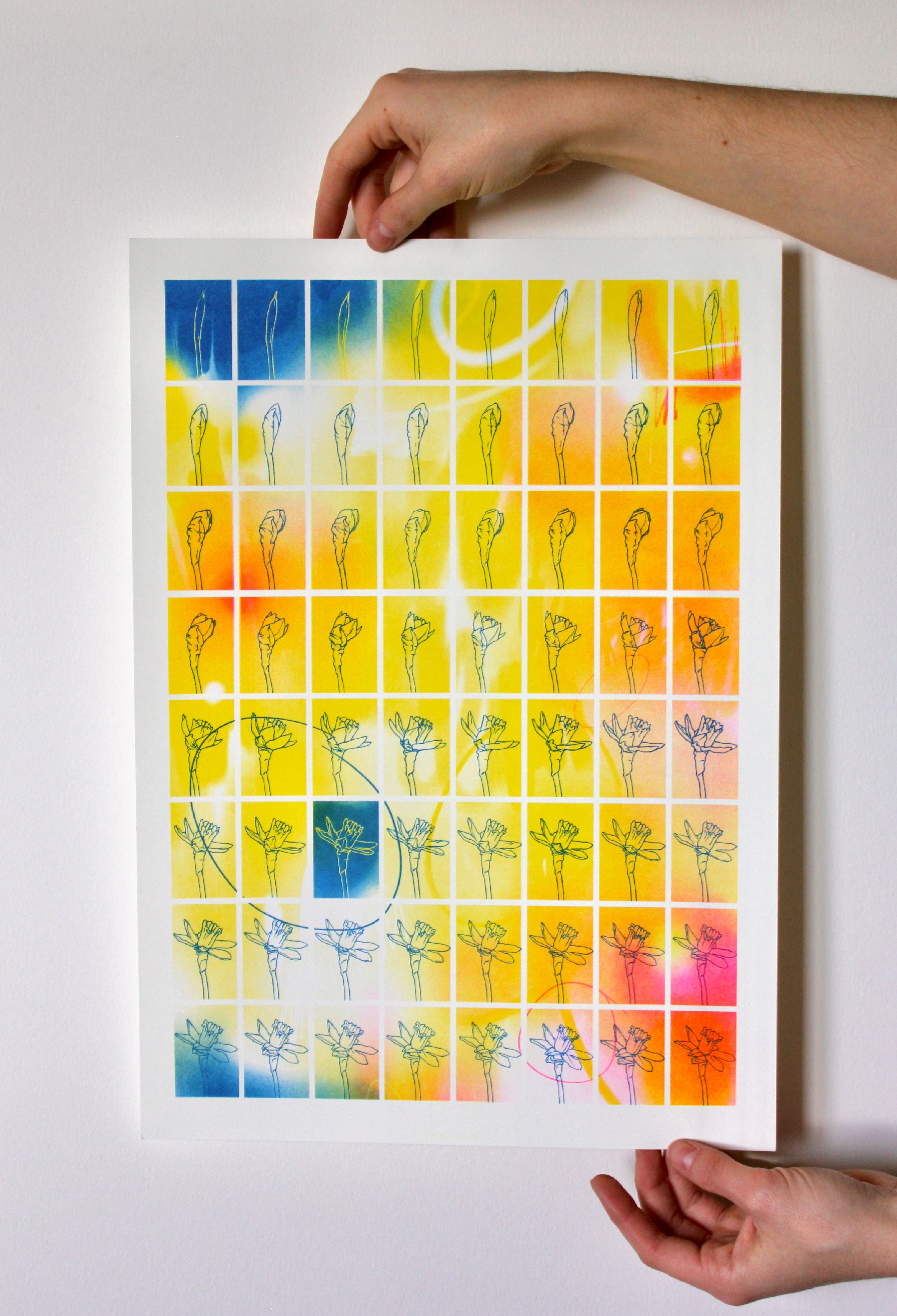 Daffodil Poster