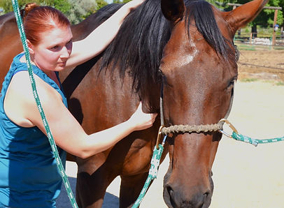 Finn_bowen therapy_full pic.JPG