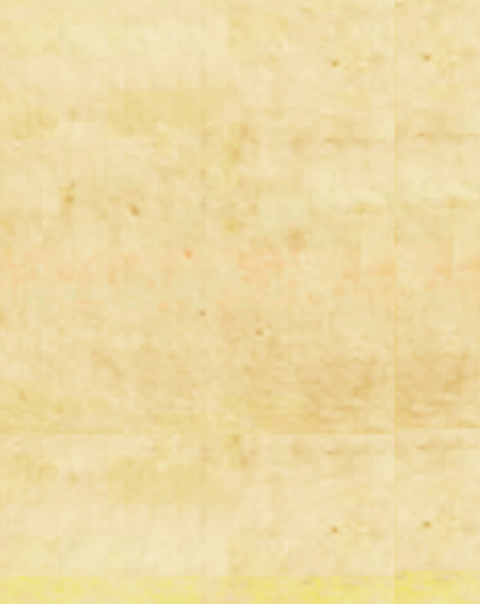 Blank Cover.jpg