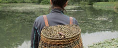 Greenwood Days Weaving Courses_edited.jpg