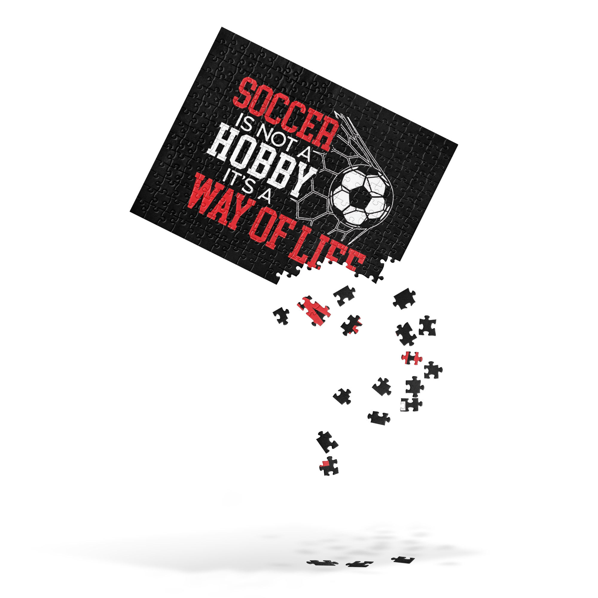 Soccer Is Not a Hobby, It's a Way of Life