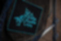 REW-2940.jpg