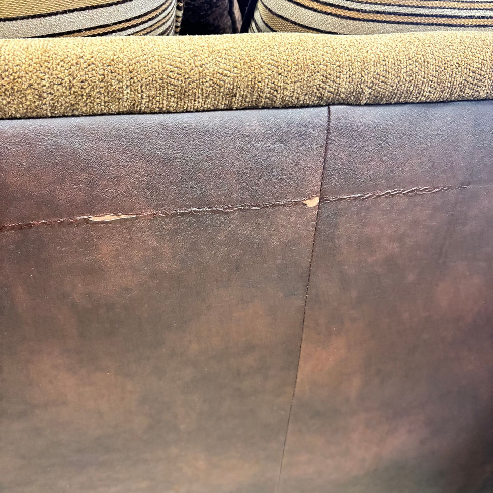 Thumbnail: Traditional Style Sofa
