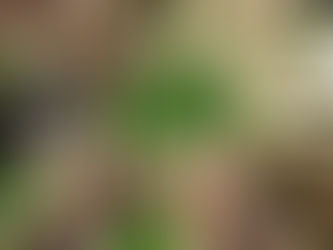 Educación Física: Una Herramienta para el Trabajo en Equipo