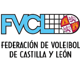 voleibol.png