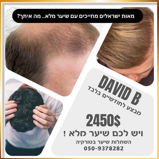 דויד בי 2.png