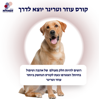 מכללת אשכולות  (2).png