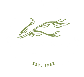 WILDÂ & BEAUTIFUL THINGS ARE POSSIBLE, WILD SKY CREATIVE, BRANDING, GRAPHIC DESIGN, CONTENT CREATION, MONROE WASHINGTON, SKY VALLEY, MARKETING