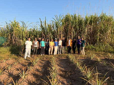 Soil Systems Discovery: A Better Earth (Ad)Venture