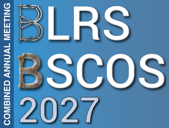 BLRS BSCOS 27 Industry opps (4)_edited.jpg