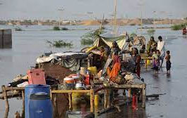 The flood disaster in Sindh: A manmade crisis?
