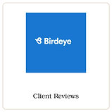 birdeye-card (1).png