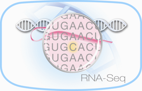 RNA_Seq_Logo_4_large.gif