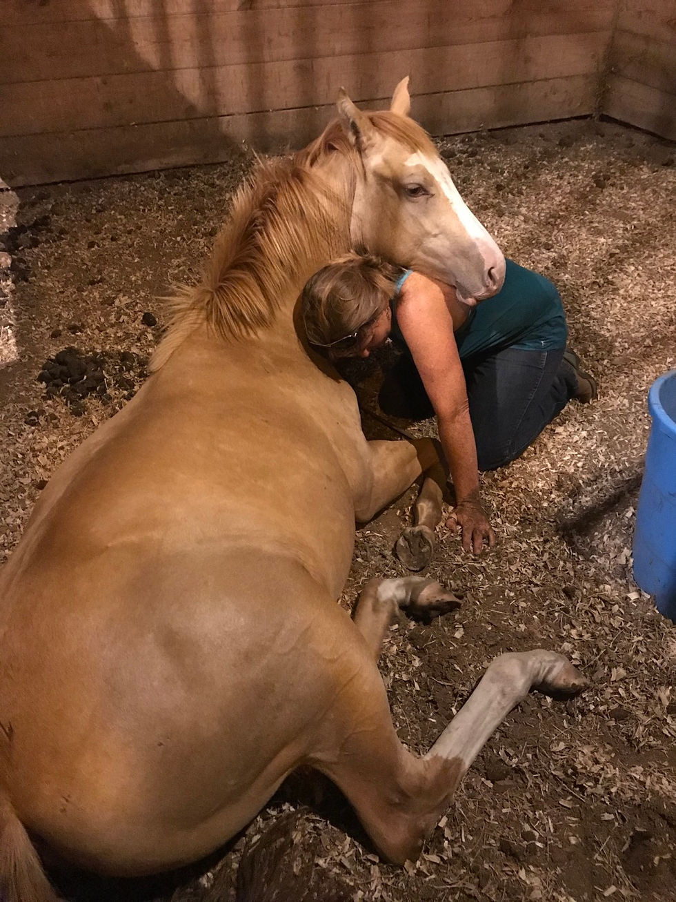 Feel better. Do better.