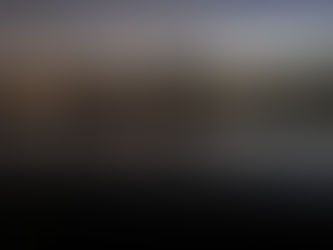 Trainer’s Tip Tuesday