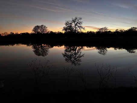 Trainer’s Tip Tuesday