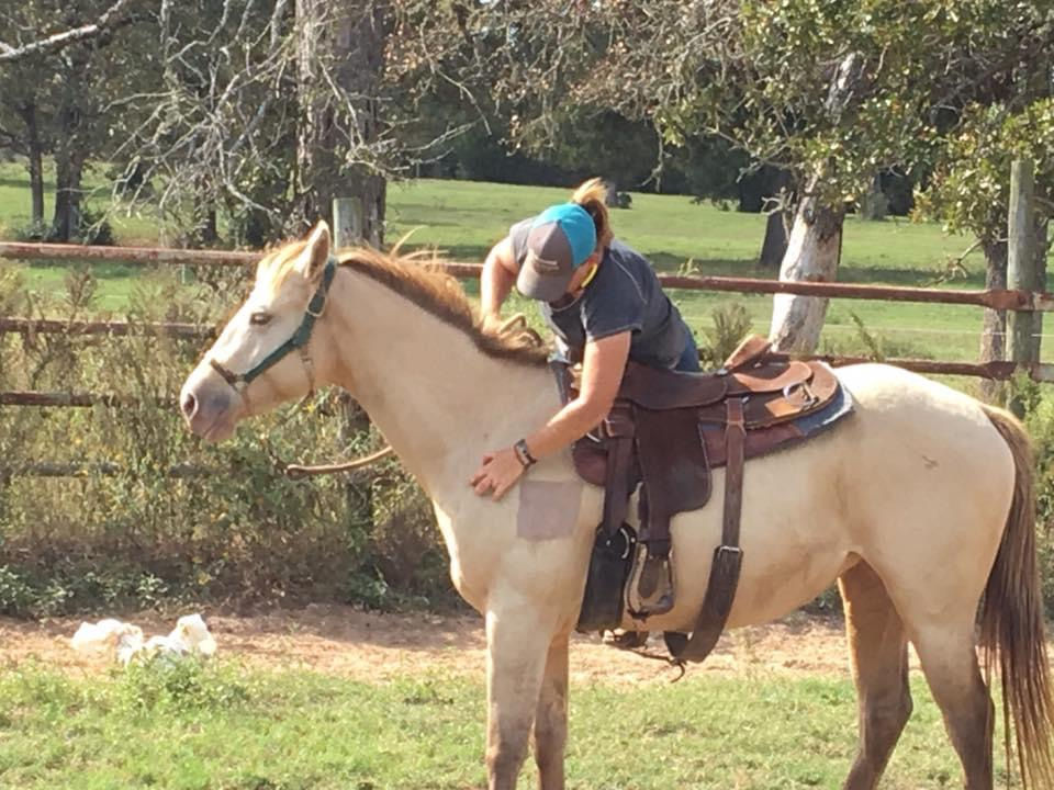 Trainer’s Tip Tuesday