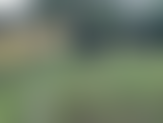 Trainer’s Tip Tuesday