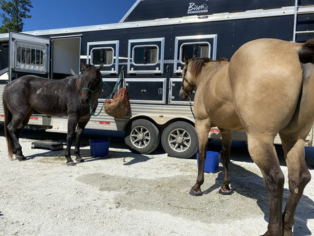 Trainer’s Tip Tuesday