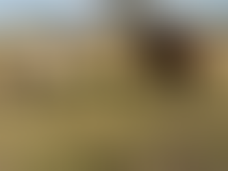 Trainer’s Tip Tuesday