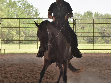 Biomechanics for Better Behavior: Linking Laterals