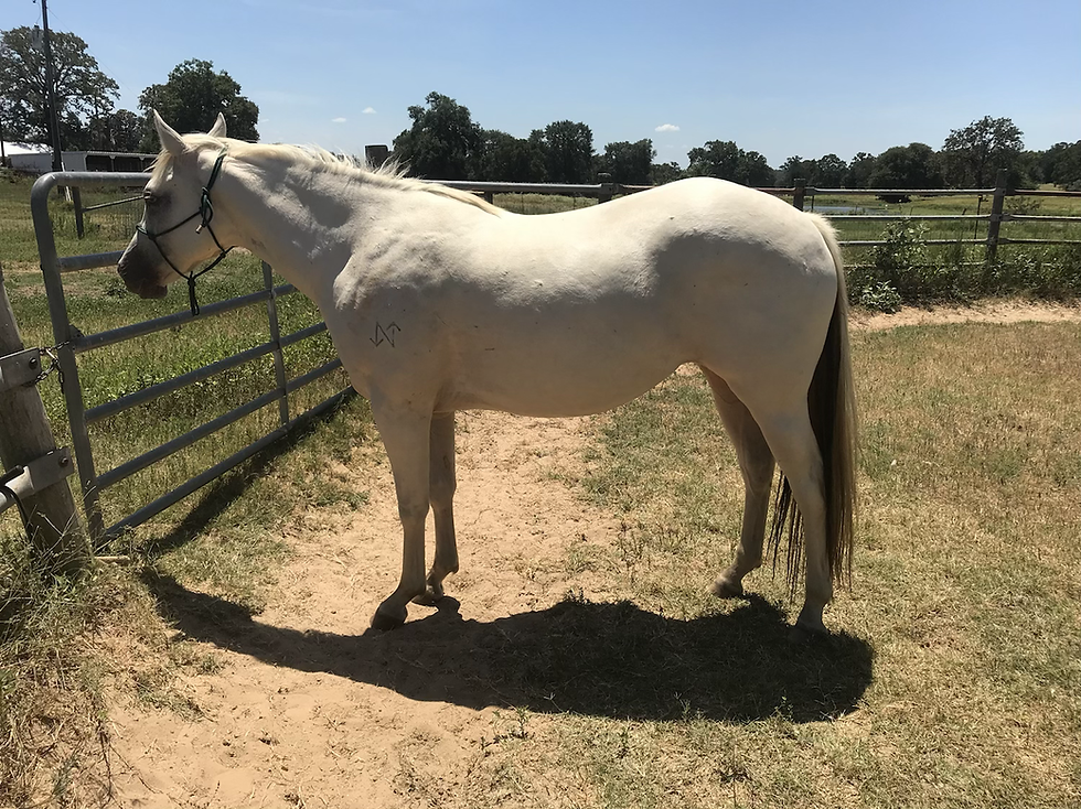 Reactive vs Responsive part 2