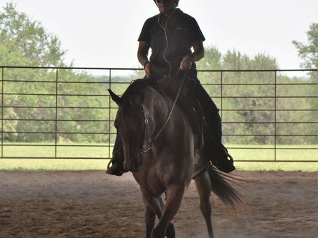 Biomechanics for Better Behavior: Haunch Turns and Leg Yields