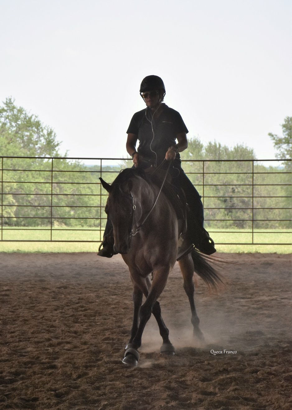 Biomechanics for Better Behavior: Haunch Turns and Leg Yields