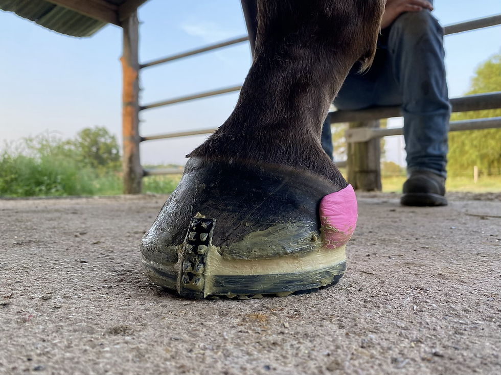 Favorite Things Friday