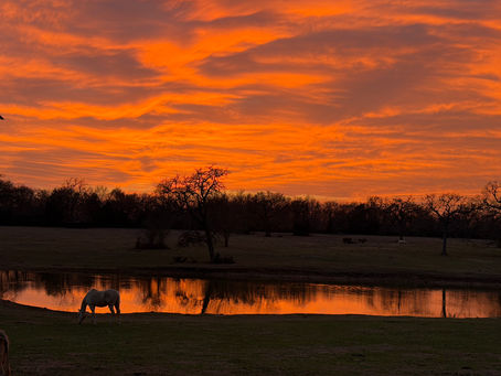 February Master Zoom