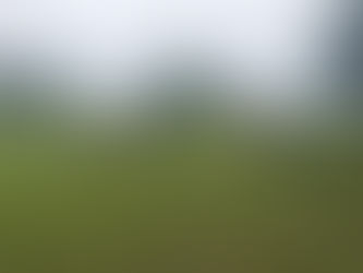 Tarrin’s Thursday Thoughts - The session after a bad day