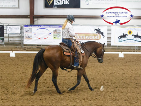 Trainer's Tip Tuesday